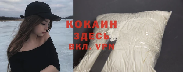крисы Алзамай