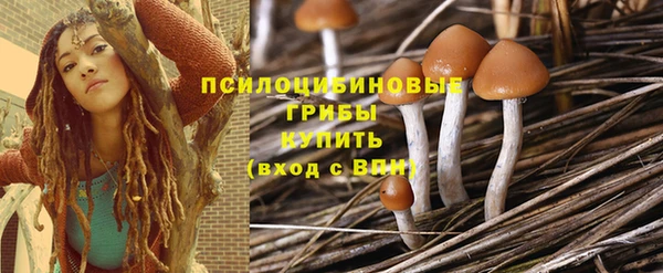 mix Алексеевка