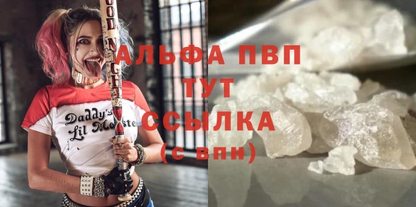 крисы Алзамай