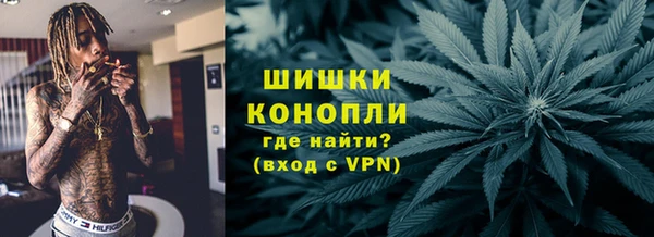 крисы Алзамай